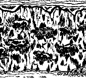 Writing is on the Wall